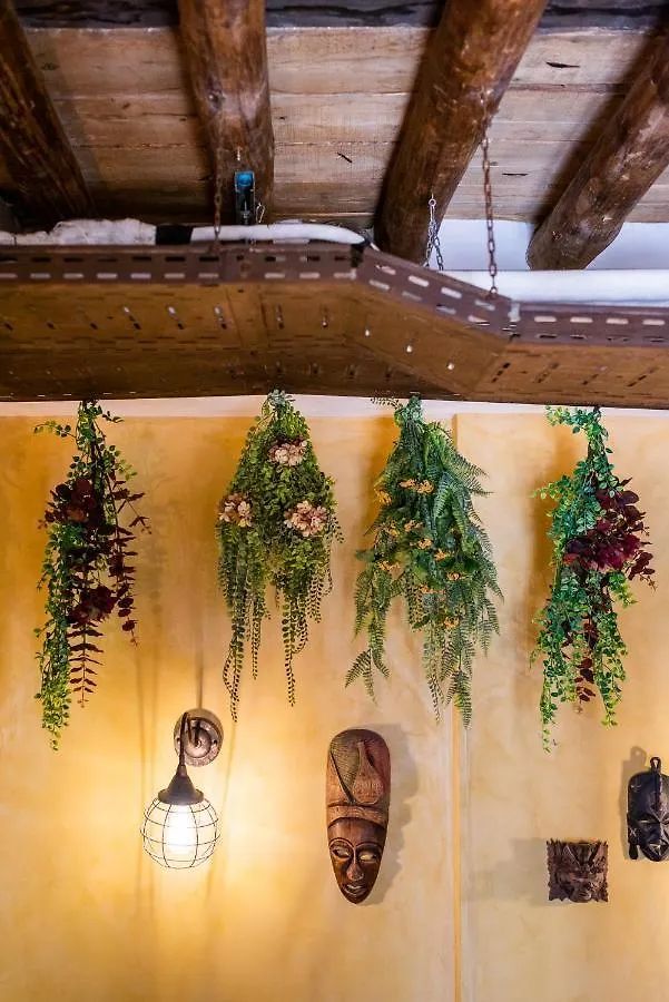 Hostel Carlota Braun Granada